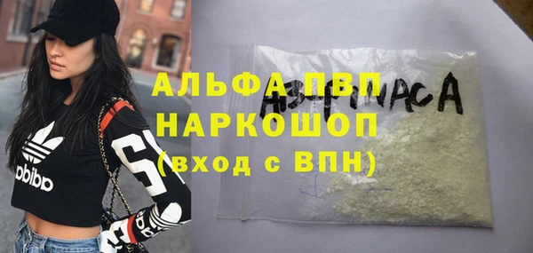 кокс Белокуриха
