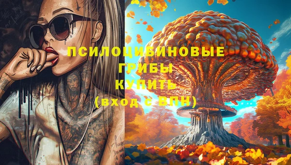 кокс Белокуриха