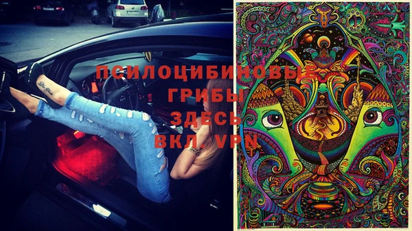 прущая мука Белоозёрский