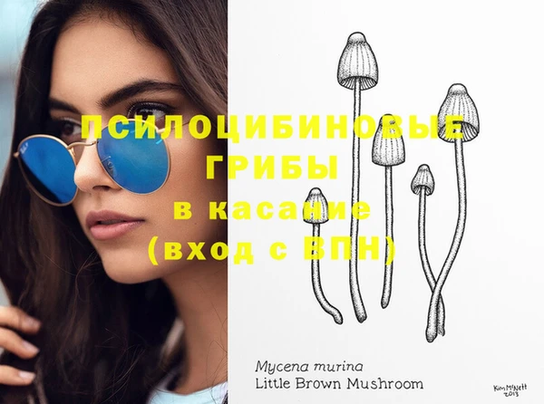 spice Балабаново